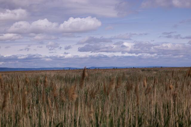 Foto: Maximilian Rosenberger