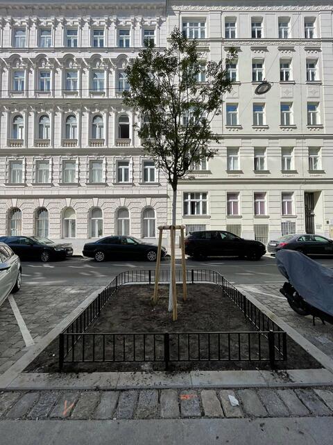 Neben acht neuen Bäumen und Baumscheiben gibt es in der Heinzelmanngasse jetzt auch breitere Gehsteige und Bankerl.  | Foto: BV20