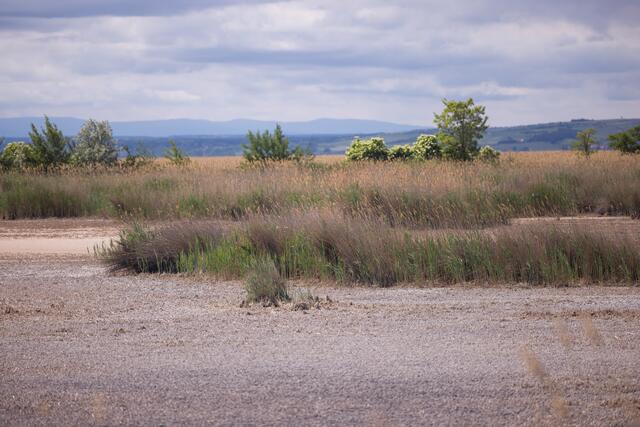 Foto: Maximilian Rosenberger