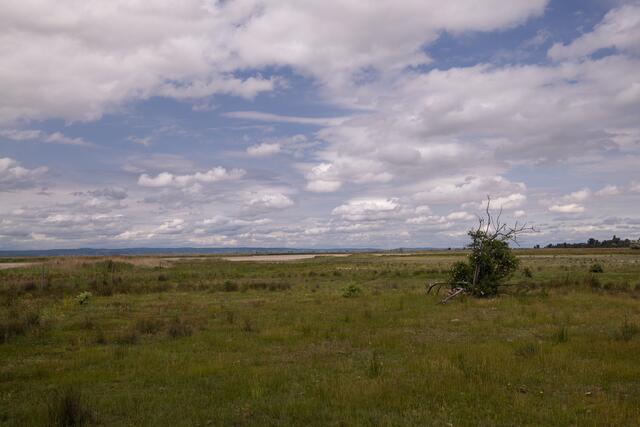 Foto: Maximilian Rosenberger