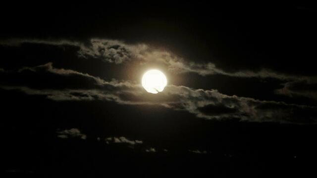 Foto: Silvia Plischek