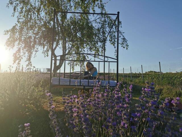 Fotoshooting im Lavendelfeld