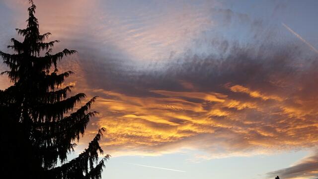 &gt;&gt;&gt; Link - Pendantfoto (stärker gezoomt) &lt;&lt;&lt; | Foto: Silvia Plischek