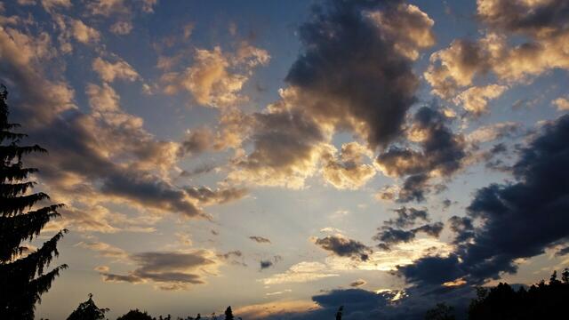 Foto: Silvia Plischek