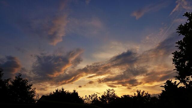 Foto: Silvia Plischek