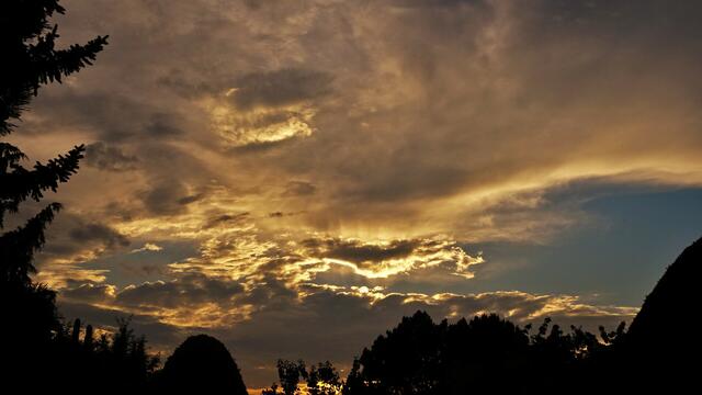 Foto: Silvia Plischek