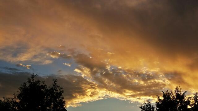 Foto: Silvia Plischek