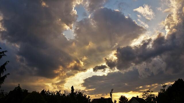 Foto: Silvia Plischek