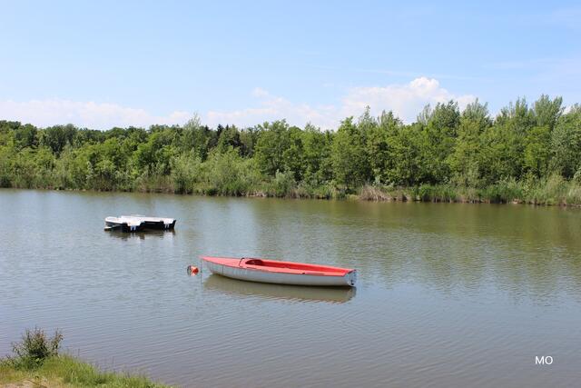 Auwiesen, Graz-Liebenau