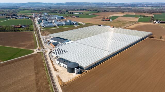 Auf 11,2 Hektar gedeihen im Biohof in Geinberg derzeit Tomaten, Gurken und Paprika. | Foto: Doms/BRS