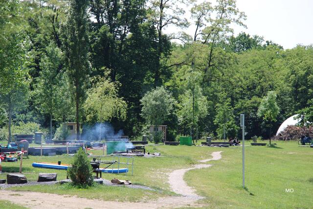 Auwiesen, Graz, Grillen