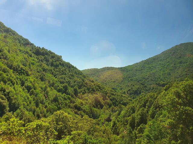 Panoramafahrt durch Korsikas Landschaft