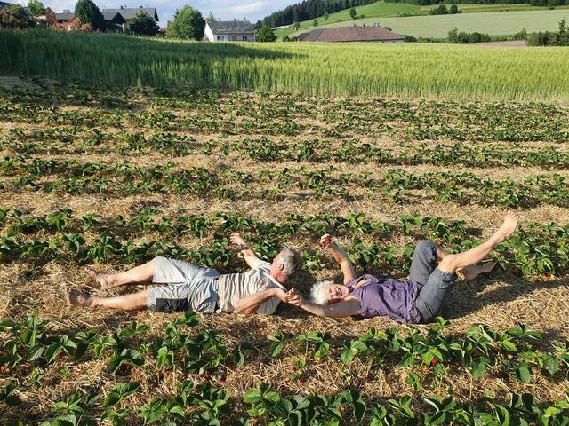 In Oepping gibt es erstmals ein Erdbeerfeld. | Foto: Wögerbauer