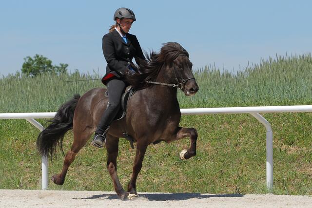In Lichtegg findet die OÖ Landesmeisterschaft statt. | Foto: Judith Leidinger