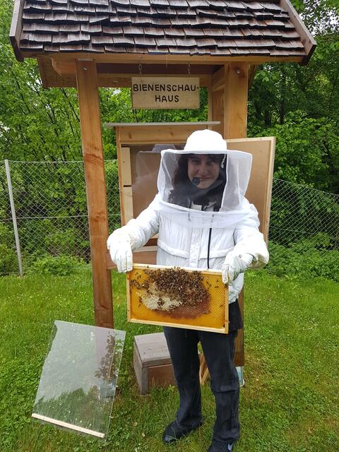 Naturnahes Lernen an der Fachschule: Hobbyimkerin  Fachlehrerin Rauch führte die Schüler in die Bienenkunde ein.