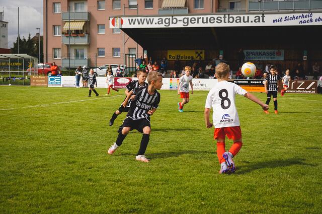 Foto: Michael Heigl