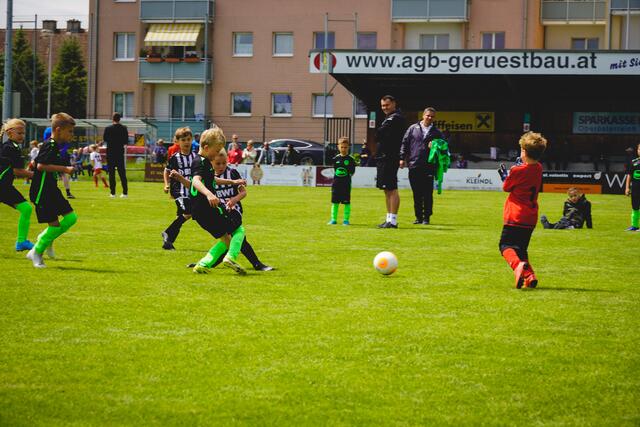 Foto: Michael Heigl