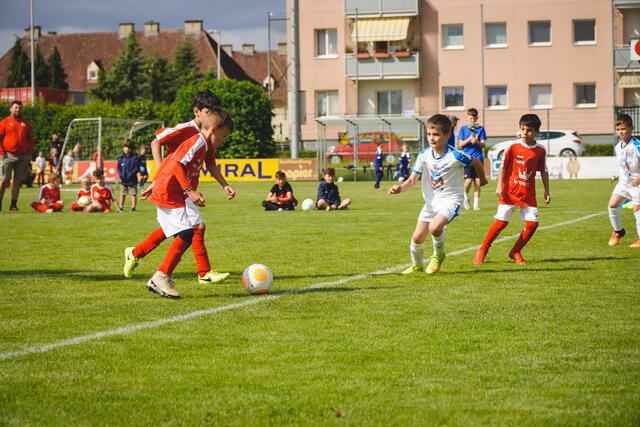 Foto: Michael Heigl