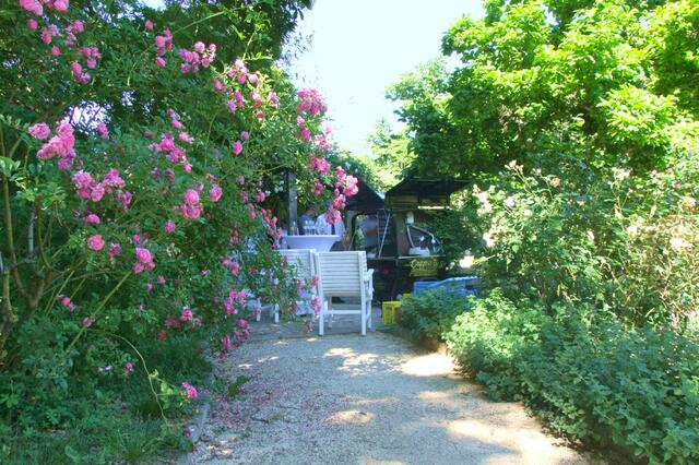 Terrasse im Rosengarten