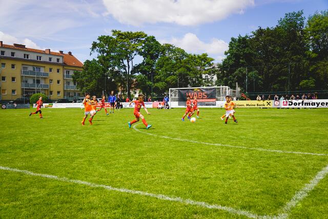 Foto: Michael Heigl