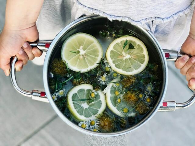 Für den Sirup werden Blüten und Zitronen mit abgekochtem Wasser 2 Tage kühl angesetzt