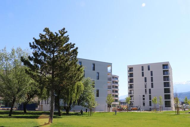 Die Mieterinnen und Mieter der Wohnanlage „Am Park“ in der Andechsstraße haben sich im Sommer 2020 bei der Einzugsbegleitung XL kennengelernt. Das Nachfolgeprojekt BAREWO findet ohne Innsbruck statt. | Foto: IKM
