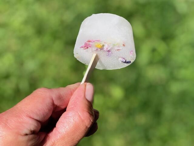 Erfrischendes aus der Blumenwiese