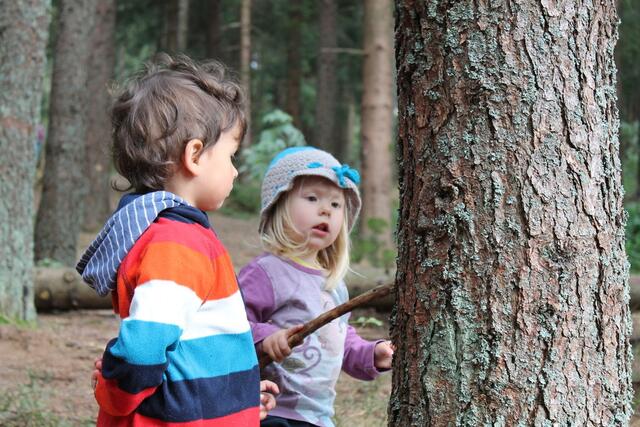 Kinder und ihre Eltern haben kommend die Möglichkeit, den Wald besser verstehen zu lernen. | Foto: Privat