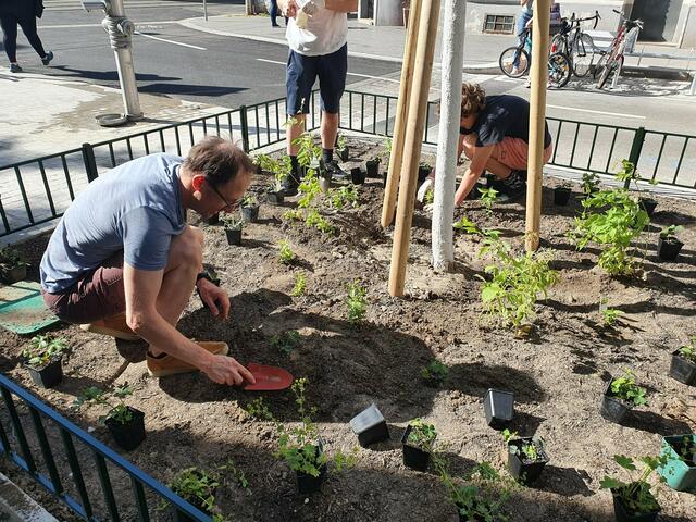 Gemeinsam begrünten die Anrainerinnen und Anrainer die Heinzelmanngasse. | Foto: GB*