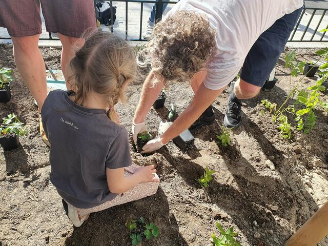 Gemeinsam begrünten die Anrainerinnen und Anrainer die Heinzelmanngasse. | Foto: GB*
