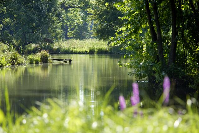 Einen Ausflug in die Region, ob mit Familie, zu zweit oder auch allein, garantiert Erlebnis, Entspannung und Genuss in der Natur. | Foto: „Natur im Garten“ / A. Haiden