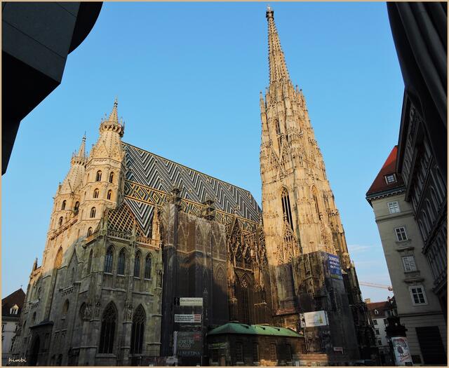 Auch in Stephansdom gibt es ein buntes Programm. | Foto: Erzdiözese Wien/Stephan Schönlaub
