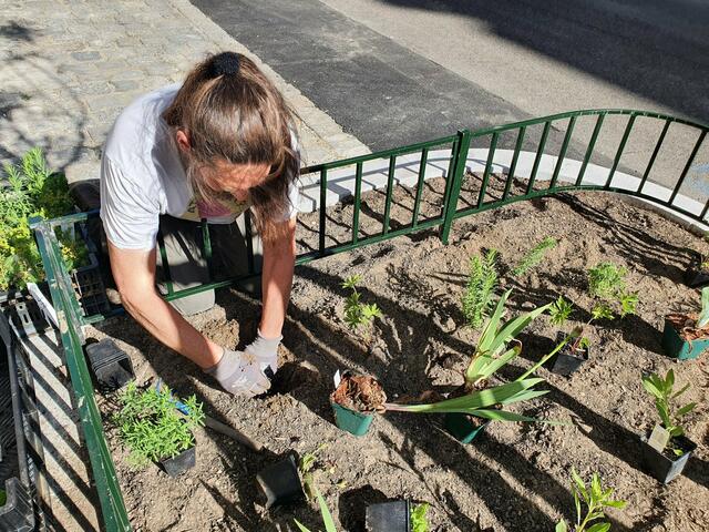 Gemeinsam begrünten die Anrainerinnen und Anrainer die Heinzelmanngasse. | Foto: GB*