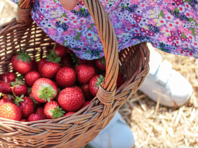 Foto: Pixabay.com