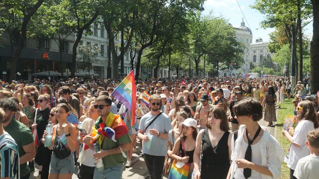 Hundertausende haben sich der Regenbogenparade angeschlossen. | Foto: Maximilian Spitzauer