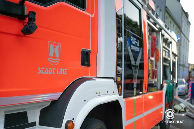 Foto: TEAM FOTOKERSCHI.AT / SCHARTNER