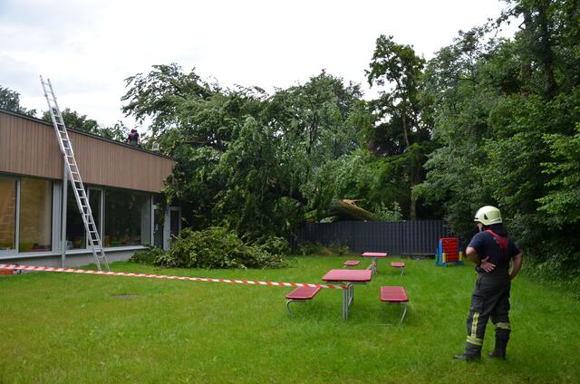  Der Baum stürzte gegen fünf Uhr Früh auf einen vor zwei Jahren fertiggestellten Zubau der Volksschule Parsch. Zu dieser Zeit befand sich zum Glück niemand in dem Gebäude. | Foto: Stadt Salzburg