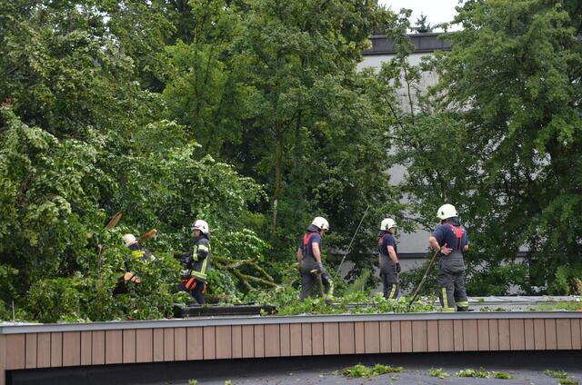  Der Baum stürzte gegen fünf Uhr Früh auf einen vor zwei Jahren fertiggestellten Zubau der Volksschule Parsch. Zu dieser Zeit befand sich zum Glück niemand in dem Gebäude. | Foto: Stadt Salzburg 