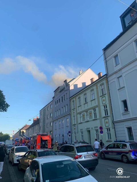 Foto: TEAM FOTOKERSCHI.AT / SCHARTNER