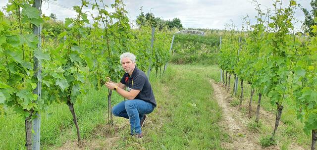 Foto: Philipp Steinriegler