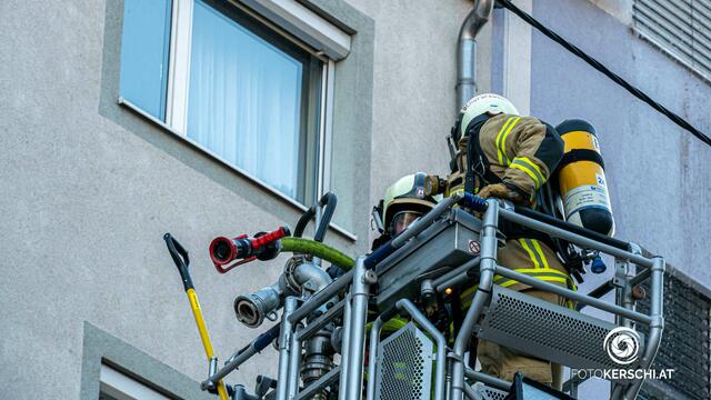 Foto: TEAM FOTOKERSCHI.AT / SCHARTNER