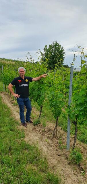 Seit 5.Generationen stolzer Weinbau - Weingut Christian Schabl | Foto: Philipp Steinriegler