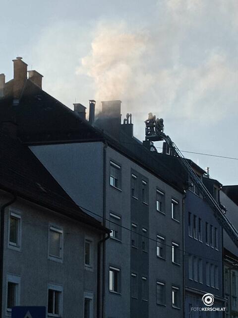 Foto: TEAM FOTOKERSCHI.AT / SCHARTNER