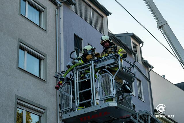 Foto: TEAM FOTOKERSCHI.AT / SCHARTNER