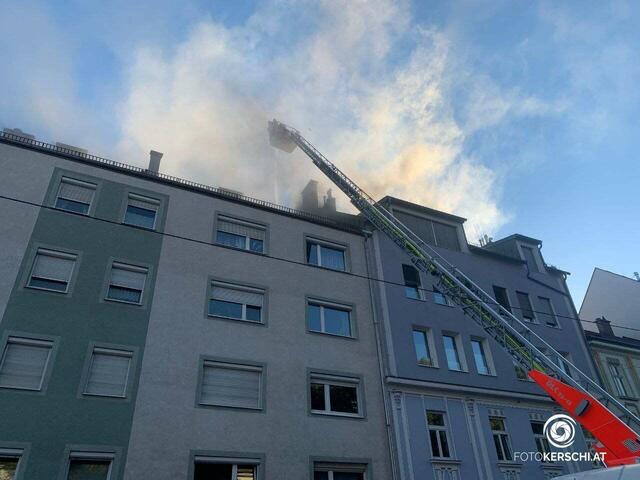 Foto: TEAM FOTOKERSCHI.AT / SCHARTNER