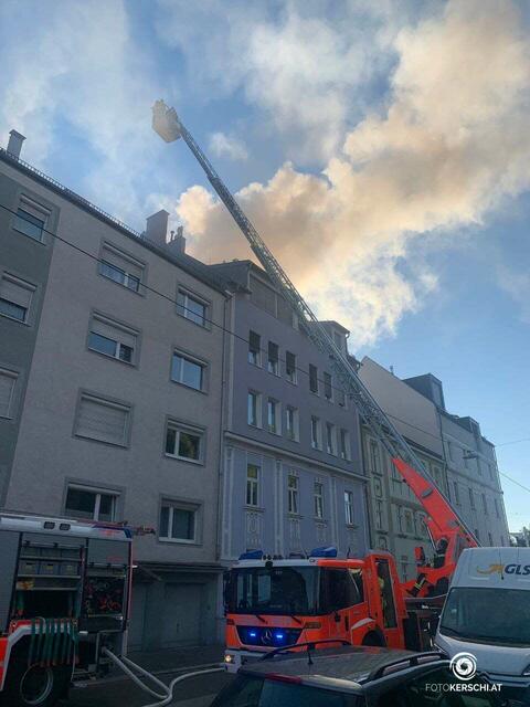 Foto: TEAM FOTOKERSCHI.AT / SCHARTNER