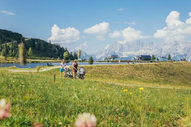 Traumhafte Landschaft und familienfreundlich: Die Reiteralm-Bergbahnen zählen nun zu den besten Sommer-Bergbahnen Österreichs. | Foto: Reiteralm-Bergbahnen/gerald.grünwald