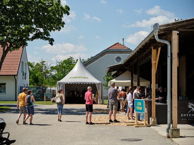 Foto: Michael Pinzolits