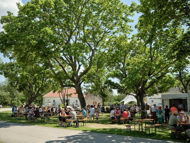 Foto: Michael Pinzolits