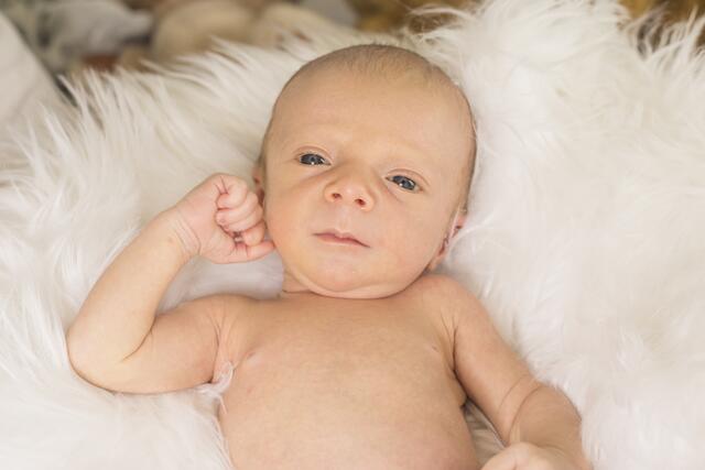 Ferdinand
Geburt: 24. Februar 2022
50 cm, 2.570 g
Vanessa Zavadilik und Joachim Pongratz aus Neutillmitsch | Foto: Lena Reiterer